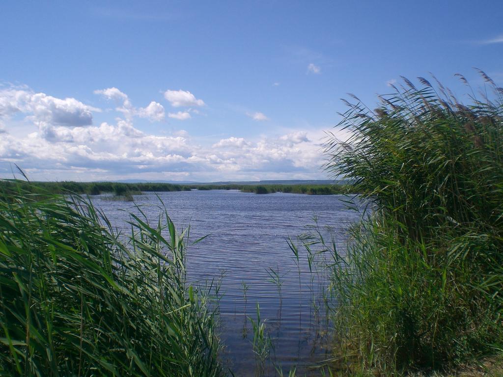Ferienwohnungen Feldsee Illmitz Zewnętrze zdjęcie