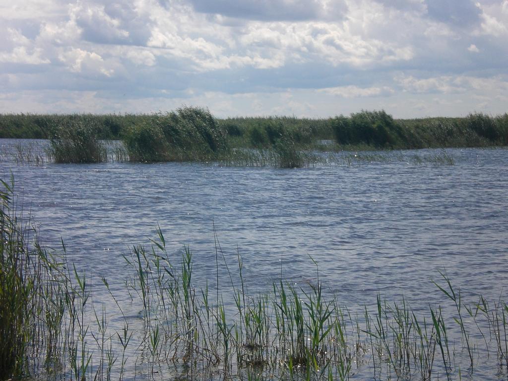 Ferienwohnungen Feldsee Illmitz Zewnętrze zdjęcie