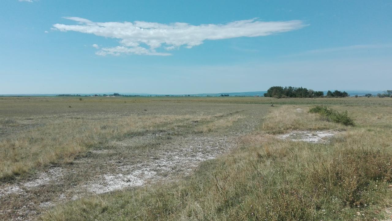 Ferienwohnungen Feldsee Illmitz Zewnętrze zdjęcie