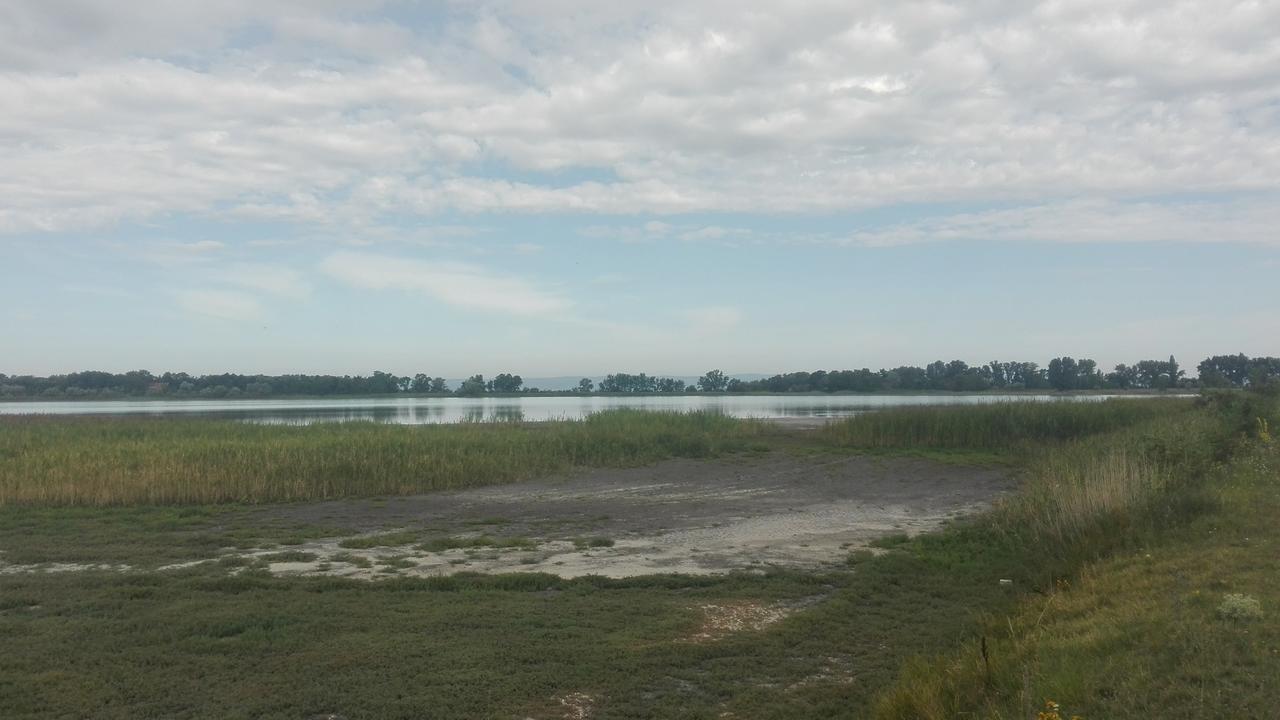 Ferienwohnungen Feldsee Illmitz Zewnętrze zdjęcie