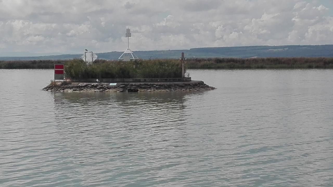 Ferienwohnungen Feldsee Illmitz Zewnętrze zdjęcie