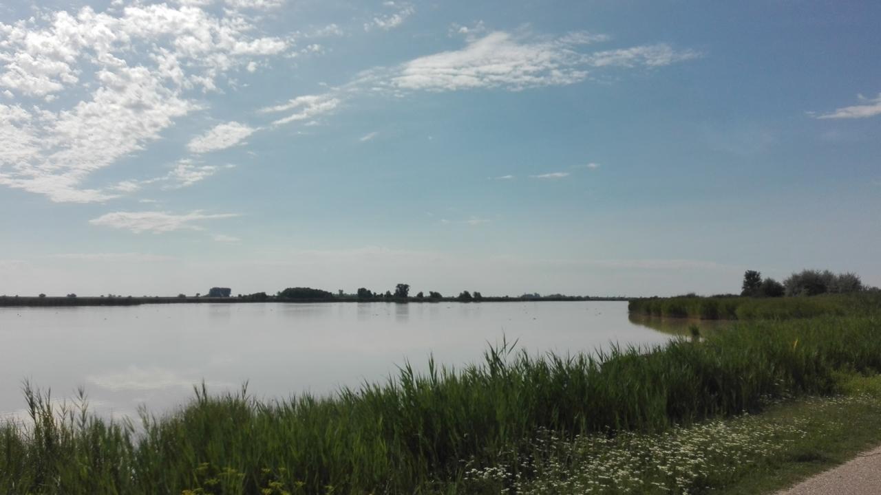 Ferienwohnungen Feldsee Illmitz Zewnętrze zdjęcie